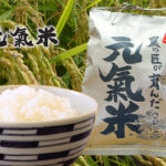 元氣米、本当に美味しいですね